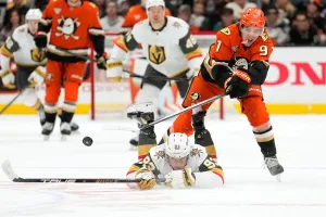 NHL PLAYOFF DUCKS GOLDEN KNIGTHS