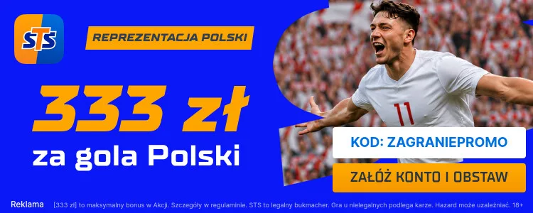 STS baner na Polska - Ukraina
