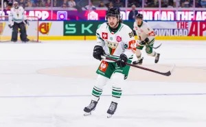 GKS Tychy CHL