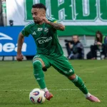 Radomiak - Piast Gliwice Typy i kursy (14.09.2026)