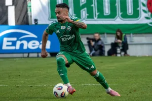 Radomiak - Piast Gliwice Typy i kursy (14.09.2026)