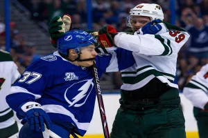 Fight nhl