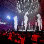 Typy Fame mma 33