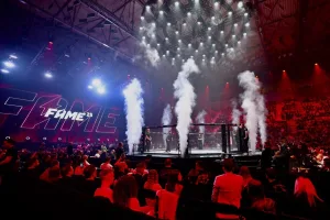 Typy Fame mma 33